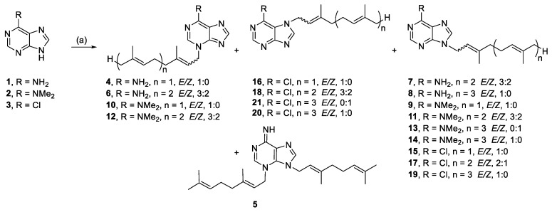 Scheme 1