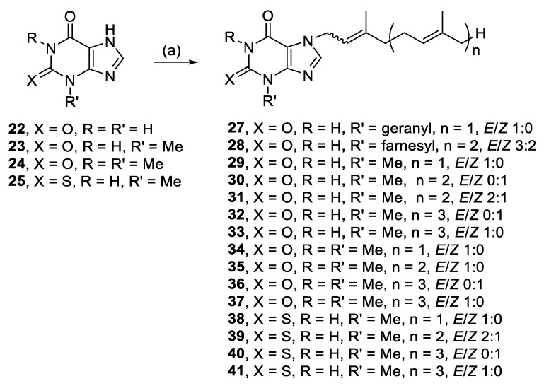 Scheme 2