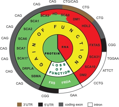 Figure 1.