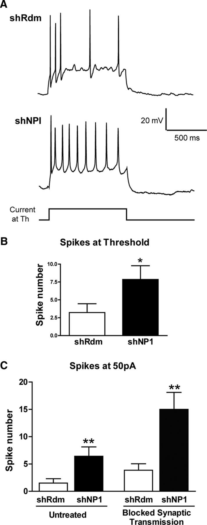 Figure 7.