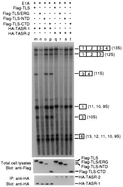 FIG. 6