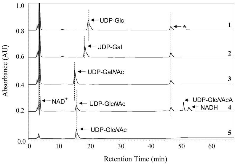 FIGURE 3