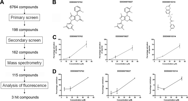 FIG 3