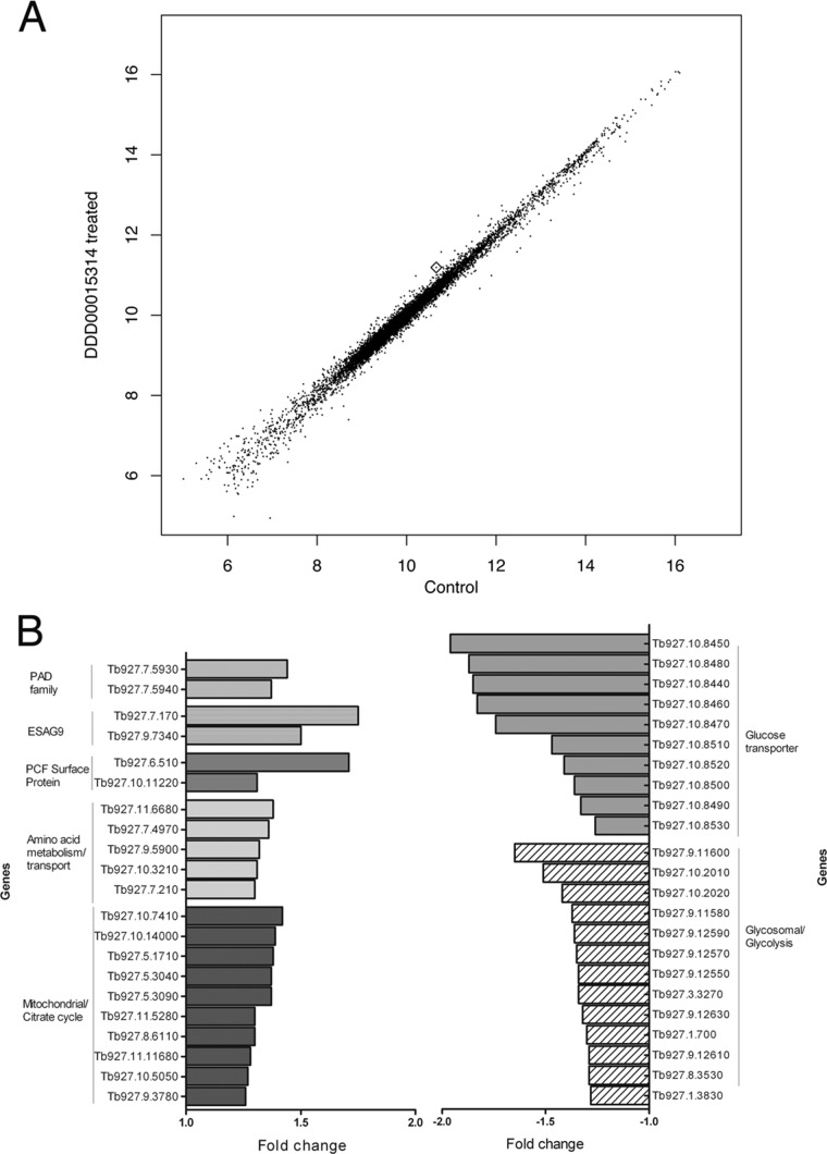 FIG 6