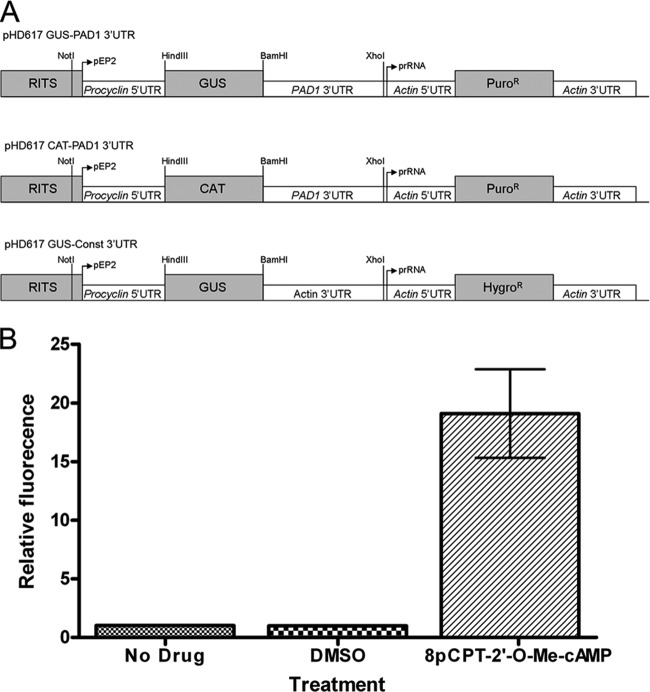 FIG 1