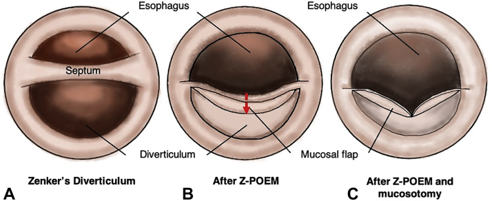 Figure 4