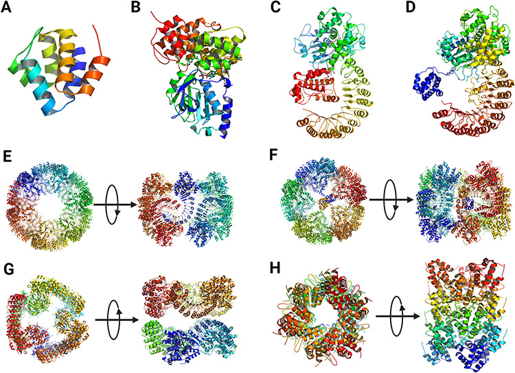 Figure 3.