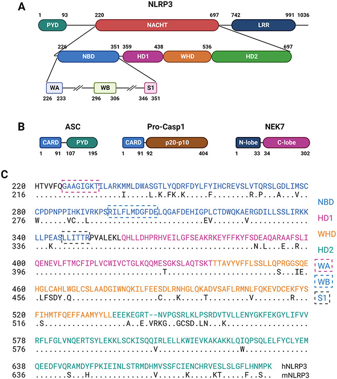 Figure 2.