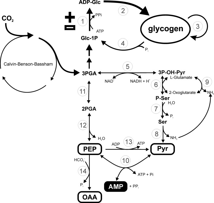 Fig 9