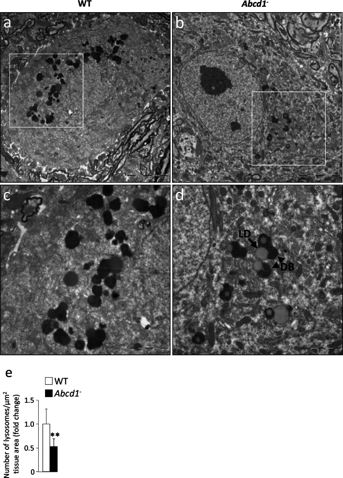 Fig. 2