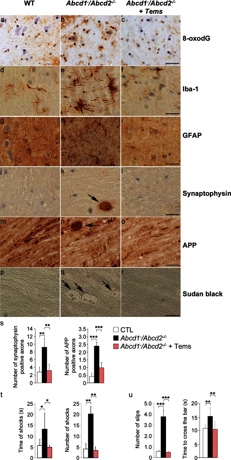 Fig. 6