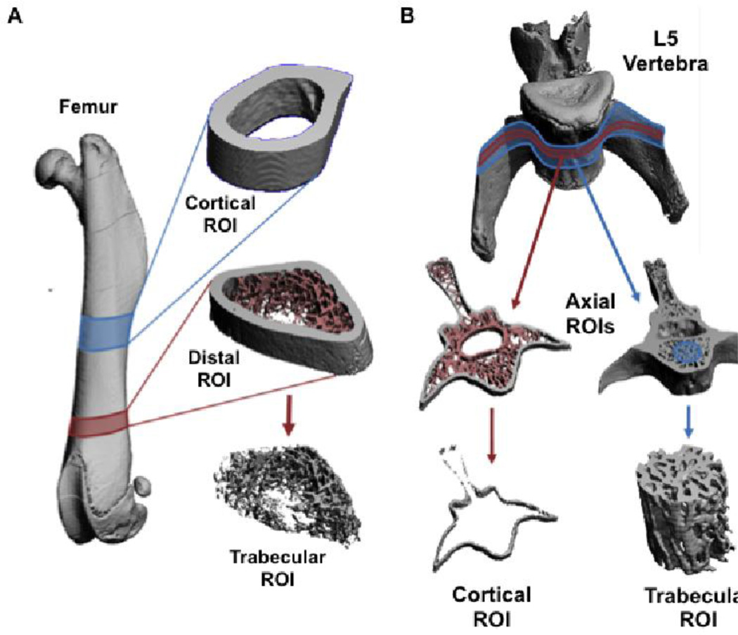 Fig 5