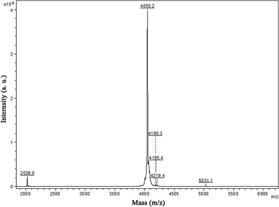 Fig. 2