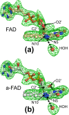 Fig 3