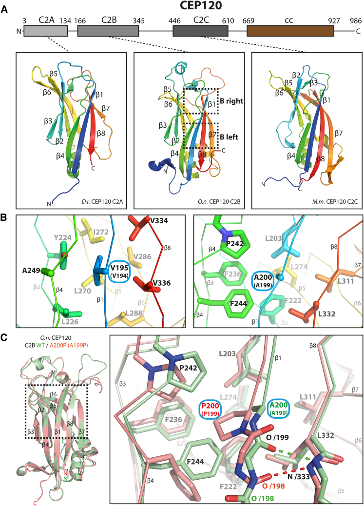 Figure 1