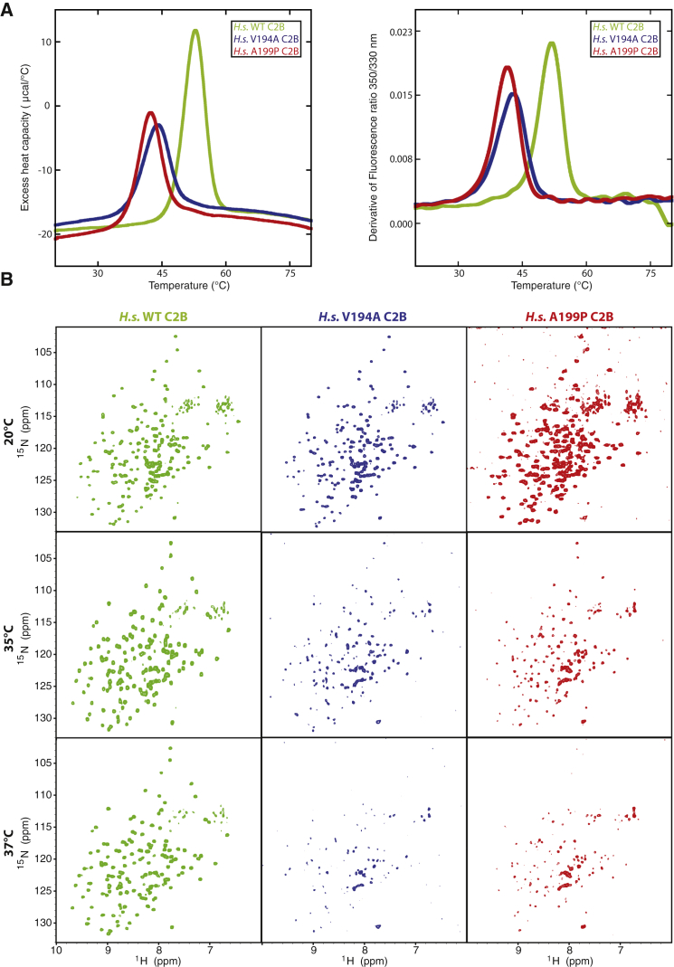 Figure 3