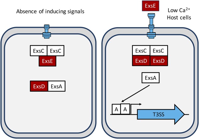 FIG 1