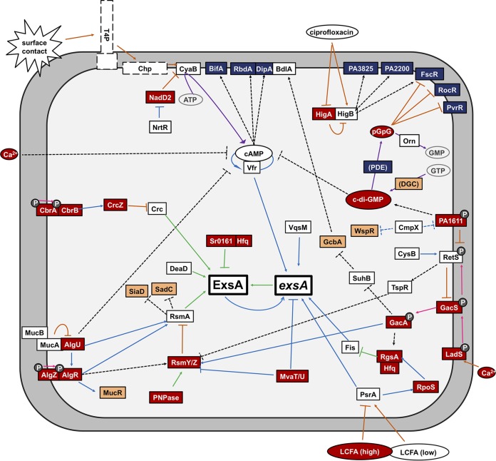 FIG 3