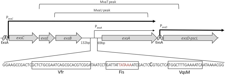 FIG 2