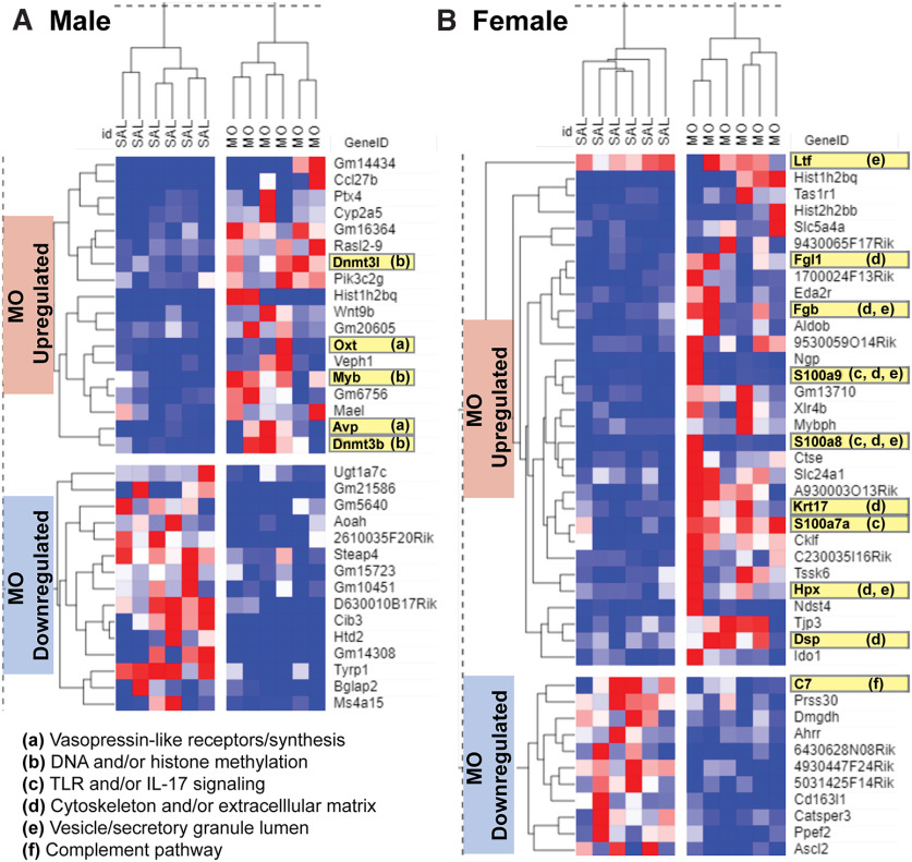 Figure 7.