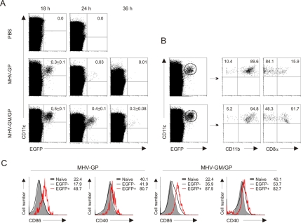 FIG 2 