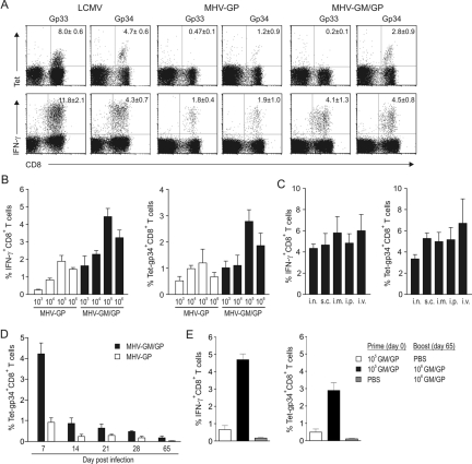 FIG 3 