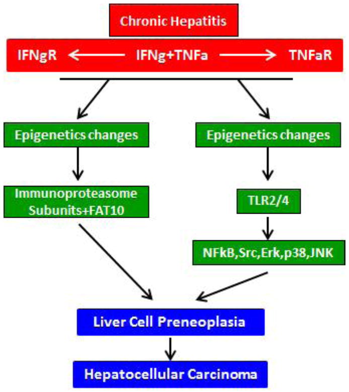 Fig 5