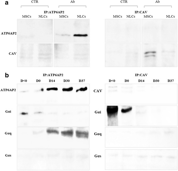 Fig. 9