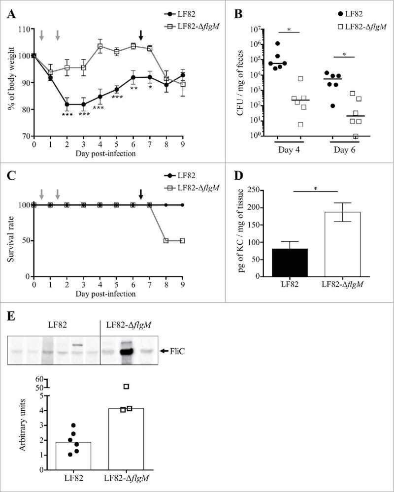 Figure 6.