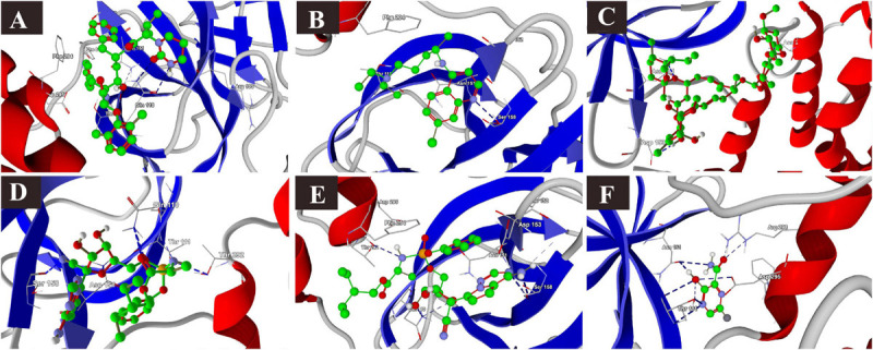 FIGURE 4