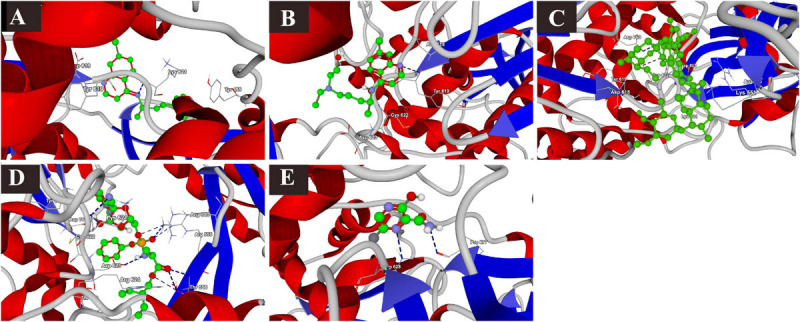 FIGURE 2