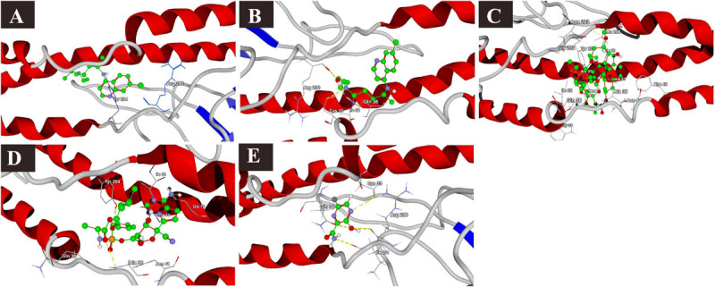 FIGURE 6