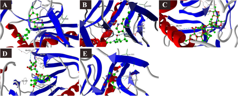 FIGURE 3