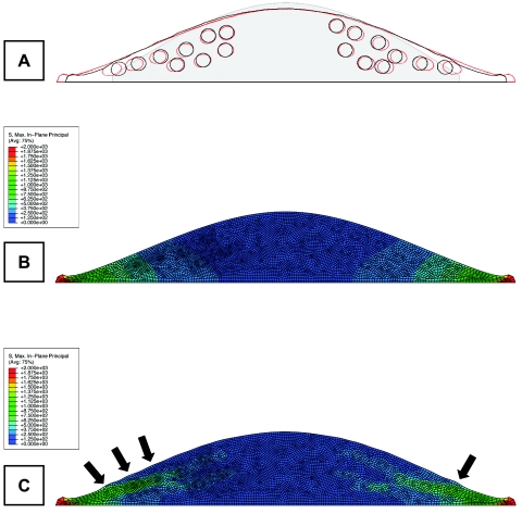 Fig. 7.