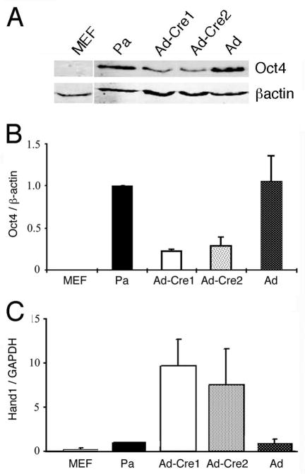 Fig 4