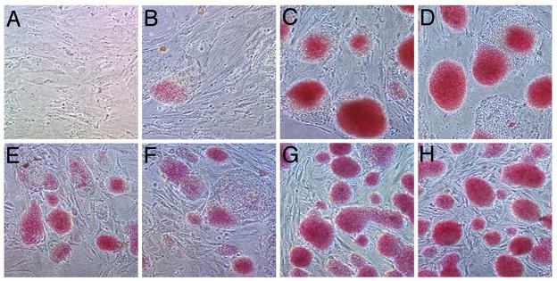 Fig 3