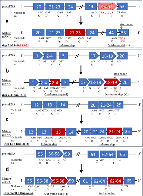 Fig. 3