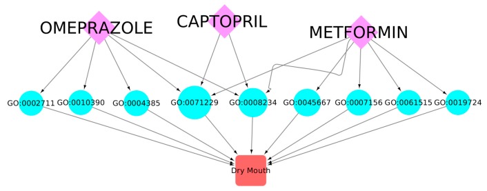 Figure 13