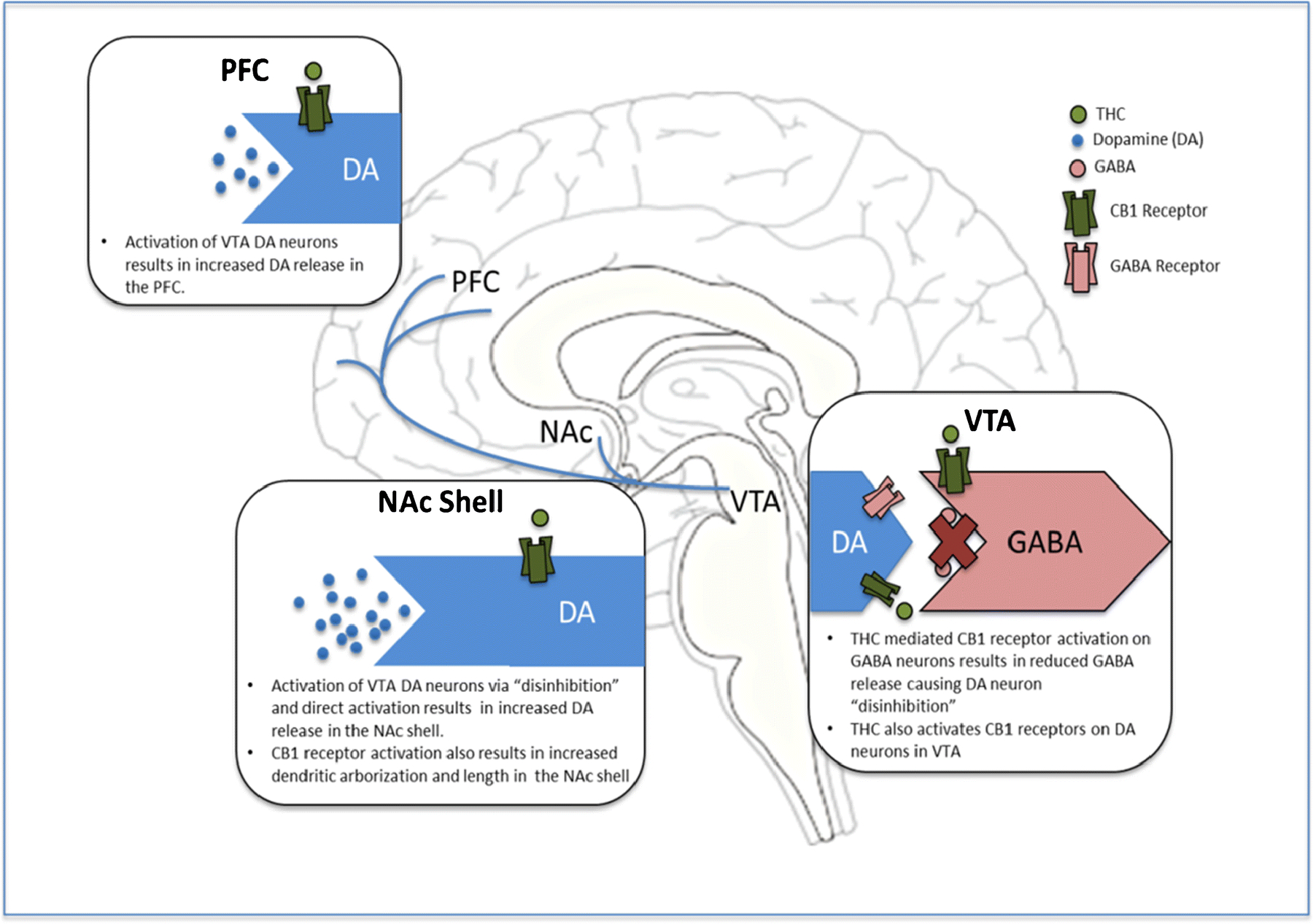 Figure 1: