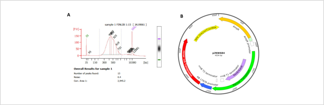 Figure 4: