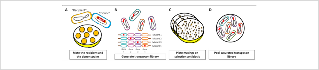 Figure 1: