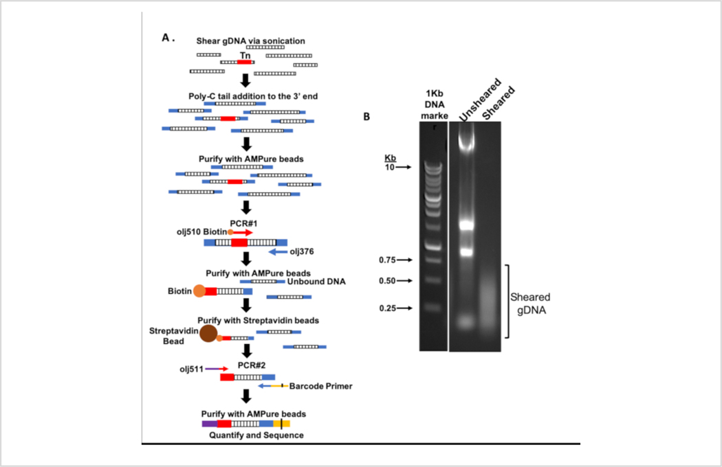 Figure 3: