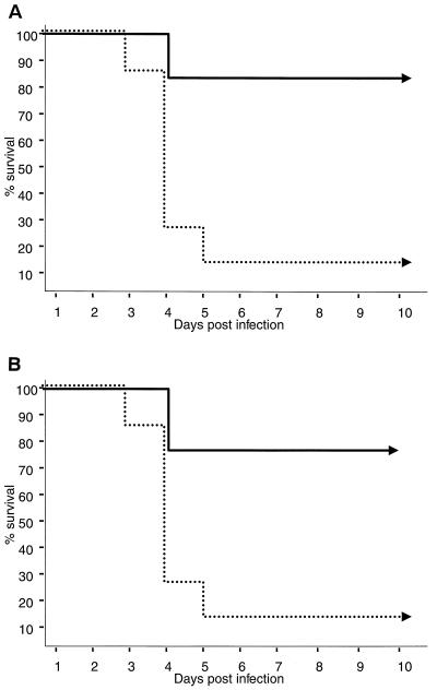 FIG. 6