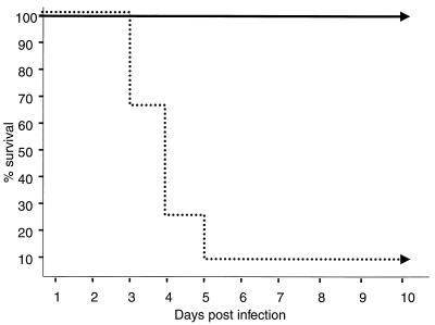 FIG. 4