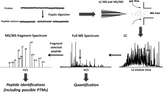 FIGURE 1.