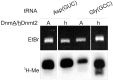 Figure 7.