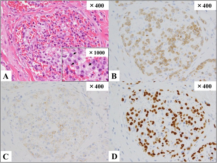 Fig. 3.