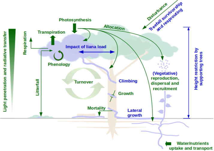 Fig. 2