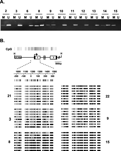 Figure 4-4259