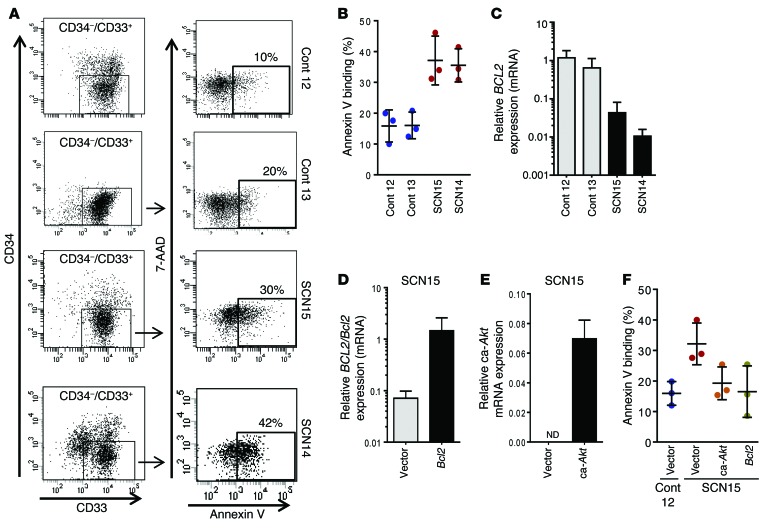 Figure
2